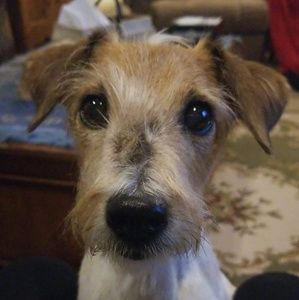 Meet your Posher, Robin